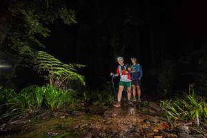 BIB: 
                            <button type="button" onclick="openModal(19247256)" class="btn btn-primary btn-sm float-right btn-popup" data-toggle="modal" data-target=".modal-high-quality">
                        <i class="fas fa-shopping-cart"></i> Add to Cart
                    </button>
                                            <button type="button" onclick="isThisMe(19247256, true)" class="btn btn-success btn-sm float-right btn-popup btn-isme hidden" data-toggle="tooltip" data-placement="bottom" title="นี่คือรูปของคุณใช่ไหม คลิกที่นี่เพื่อเอาเข้าอัลบั้ม">
                        <i class="fas fa-plus"></i> Add to album
                    </button>
                    <button type="button" onclick="isThisMe(19247256, false)" class="btn btn-warning btn-sm float-right btn-popup btn-isnotme hidden">
                        <i class="fas fa-ban"></i> Remove from album
                    </button>